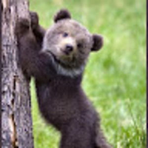 Meet your Posher, Dominic